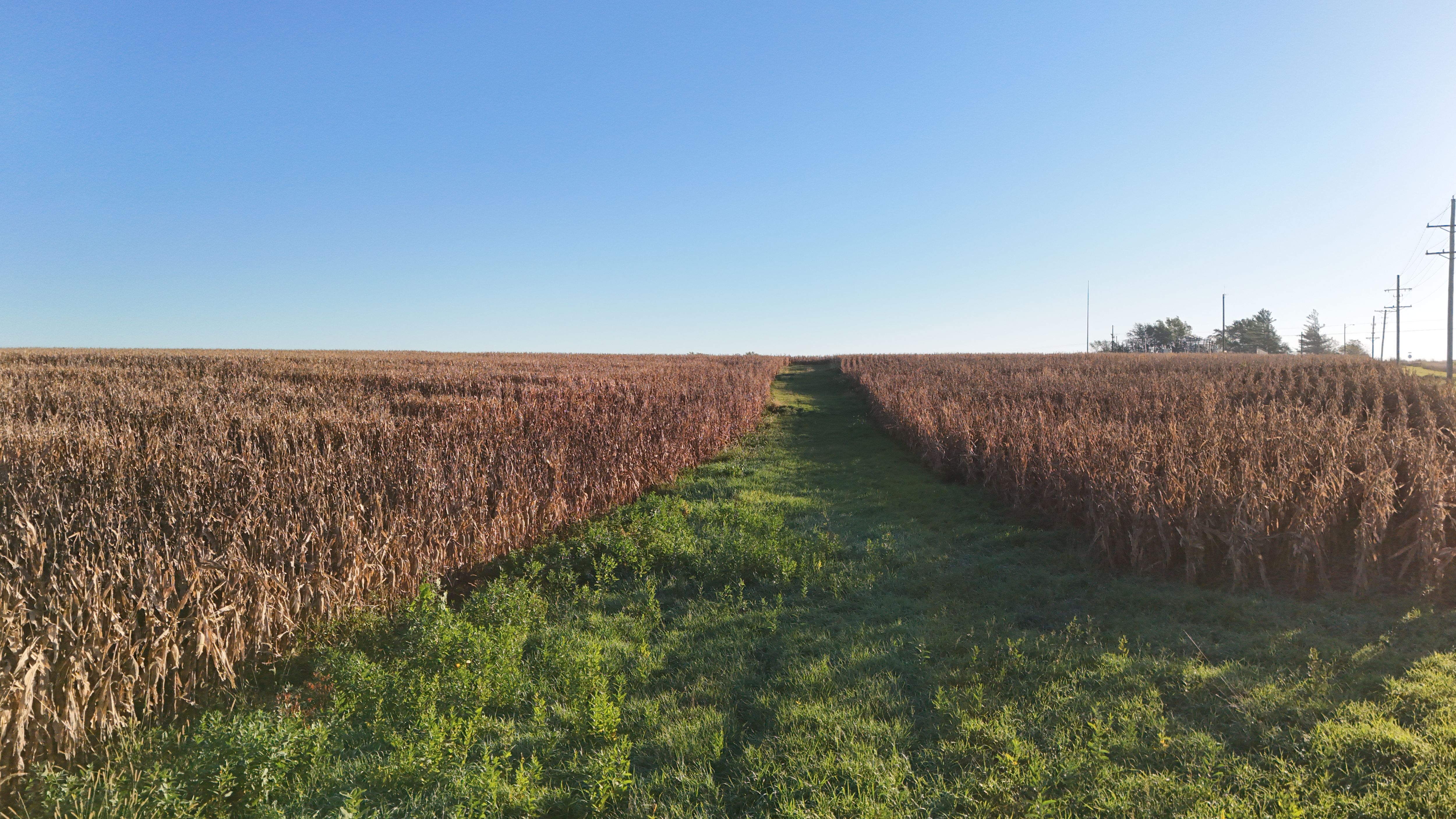 Listing Photo: lancaster-county-ne-125-acres (35)